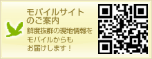 モバイルサイトのご案内 鮮度抜群の現地情報をモバイルからもお届けします!