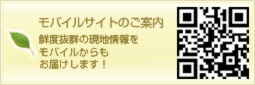 モバイルサイトのご案内 鮮度抜群の現地情報をモバイルからもお届けします!