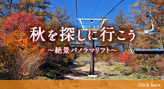 秋を探しに行こう