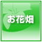 お花畑