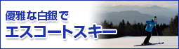 優雅な白銀でエスコートスキー